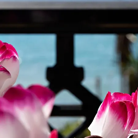 Apartment Sea Sun, Corfu No17